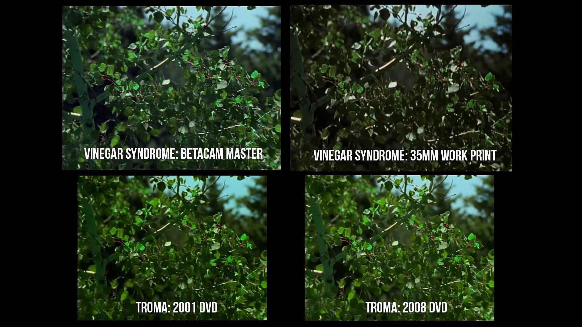 ⁣Cannibal Release Comparisons