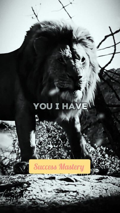 Motivation