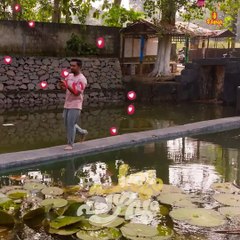 Watch Paalum Pazhavum on Saina Play