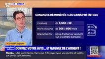 Donner son avis et être payé... Que valent les sondages rémunérés?