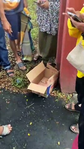 VIDEO: Penemuan Bayi Didepan Kantor Dinas Pariwisata Bantaeng