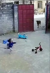 Bahçede oynayan çocuklar, ineğin görülmesiyle panikledi