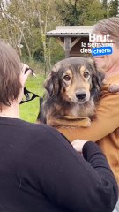 Une nouvelle vie pour Scooby