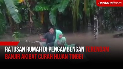 Musim Penghujan Hutan Mangrove Diwarnai Sampah Kiriman