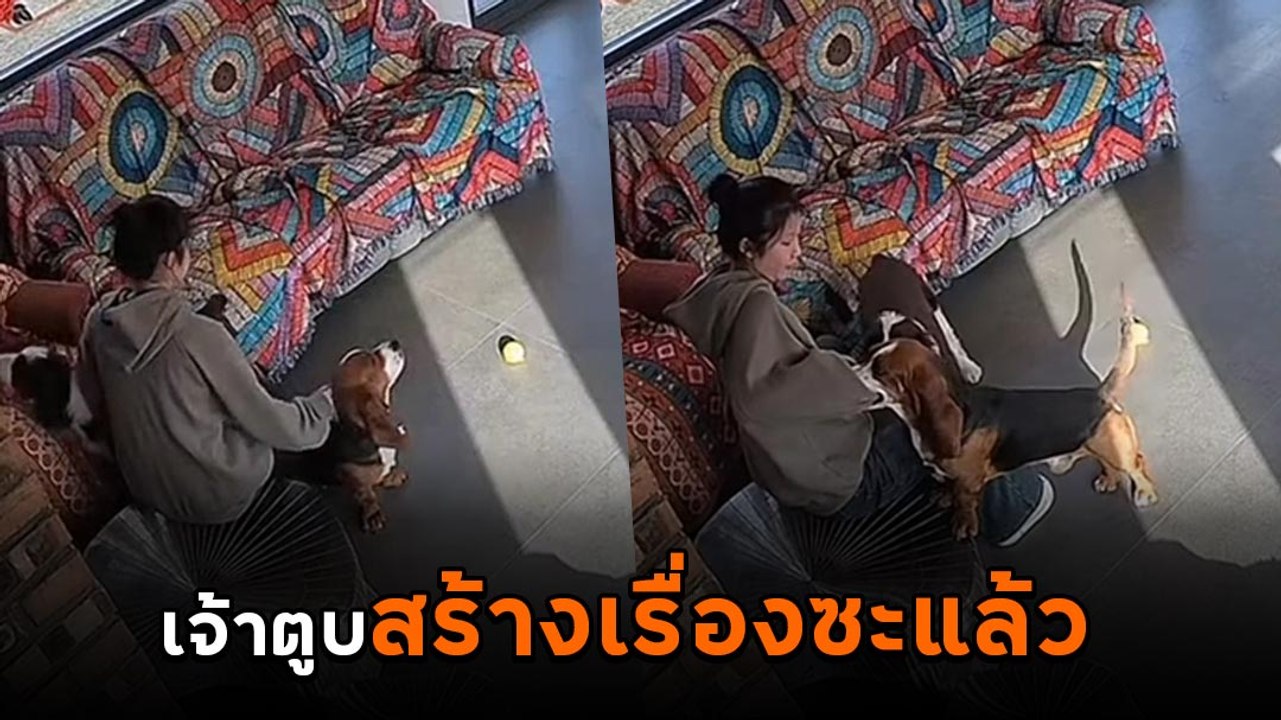 ชะตาขาดแล้วตูบ เจ้าของไม่รักแล้วแบบนี้