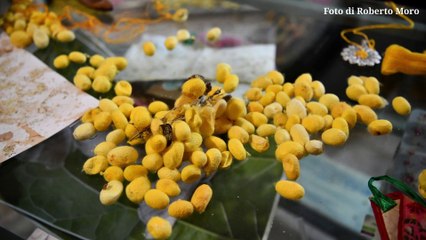 Intervista Maria Corda