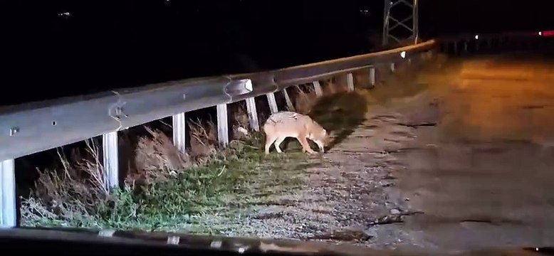 Kimseye aldırış etmedi