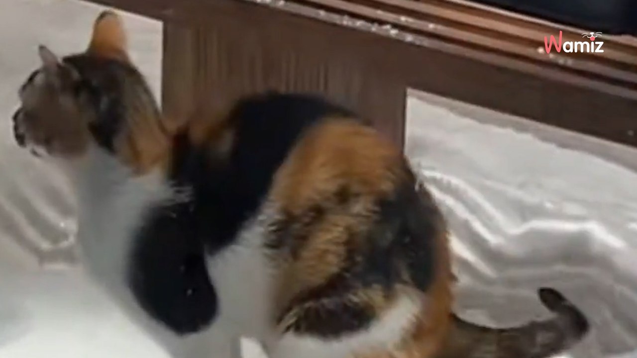 Türkei: Frau bekommt einen Lachanfall, als sie ins Schaufenster eines Ladens schaut