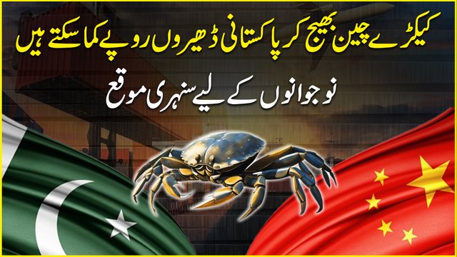 Kekray China bhej kar Pakistani dhero ropay kama saktay hain, nojwano k liye sunehri moqa