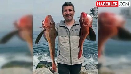 Amatör Balıkçı 6,5 Kiloluk İki Kırlangıç Balığı Yakaladı