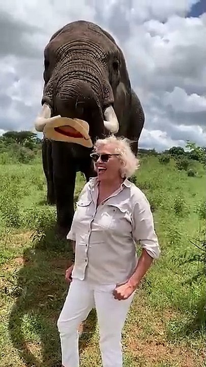 Hilarious Elephant Pulls Prank on _WorldElephantDay_(360P)