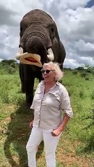 Hilarious Elephant Pulls Prank on _WorldElephantDay_(360P)