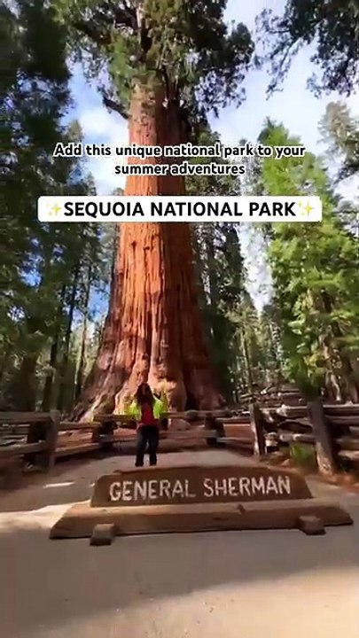 Exploring Sequoia National Park_ California _travel _nationalparks _usa(360P)