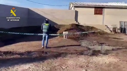 La Guardia Civil inmoviliza 9.000 kilos de aceitunas no aptas para el consumo humano en Salvatierra de Santiago