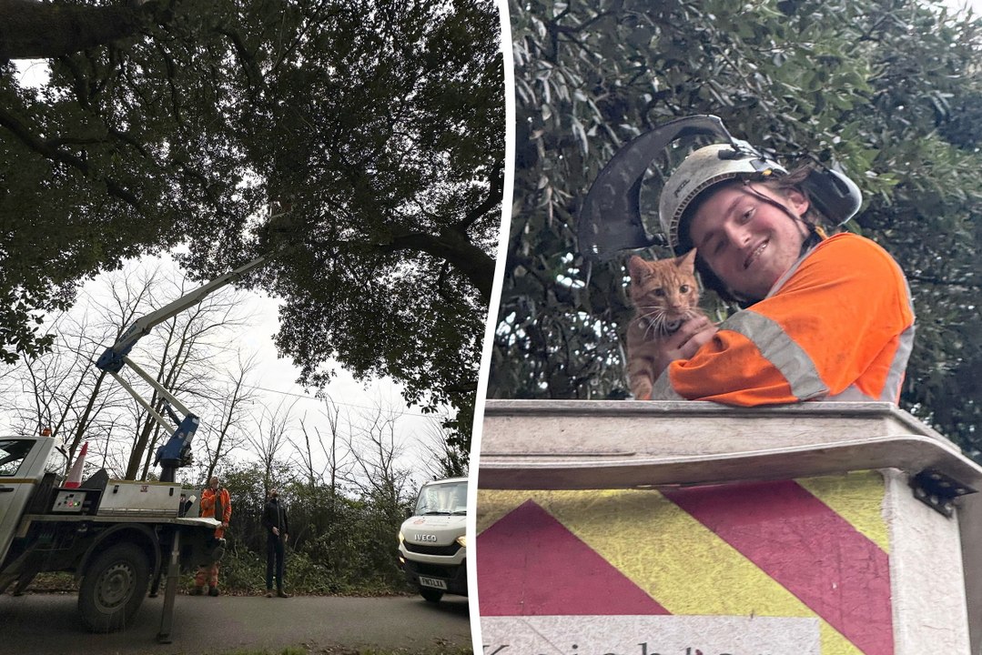 Trapped kitten rescued by cherry picker