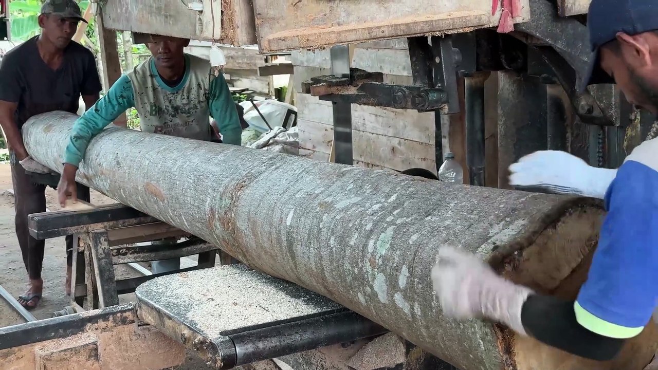 Sawing Wood 2x20 Proper Selection of Sawmill Machine