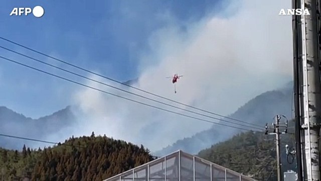 Incendio boschivo nel nord del Giappone, almeno un morto