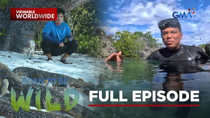 Harmonious coexistence of Wildlife and Humans (Full Episode) | Born to be Wild
