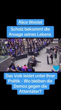 AFD ansage an CDU und SPD - Alice für Deutschland