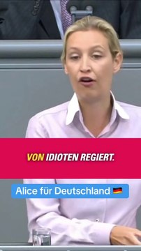 AFD zur Illegalen Grenzüberschreitung - Alice für Deutschland