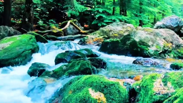 Discover SEAN'S Most STUNNING Natural Waterfalls! #nature #waterfall