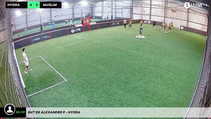 But de Alexandre P - HYDRA