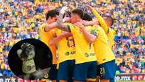América tienen a la mejor fan: Perrita se viraliza con festejo al equipo de André Jardine