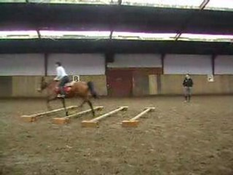 cours du samedi
