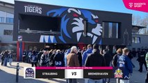 Highlights von Straubing Tigers - Fischtown Pinguins