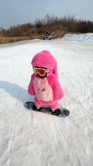 Pembe peluşlu kar canavarının snowboard keyfi 😅