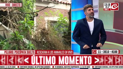 Psicópata suelto secuestra perros y gatos: los mata y después lo embalsama