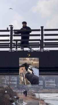 Bird Follows Girl and Tries to Play