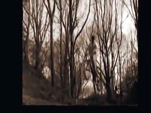 Dirt Highlights Demuth als PeppeEXsKrima und paar andere(Seh Hör Real Life Tainment Tv 2025 Video )