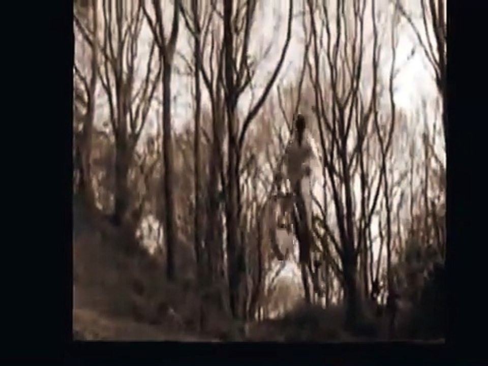 Dirt Highlights Demuth als PeppeEXsKrima und paar andere(Seh Hör Real Life Tainment Tv 2025 Video )