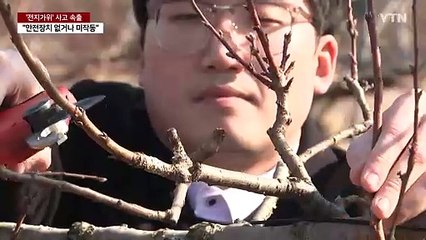'전동 전지가위' 절단 환자 속출..."안전장치 필요" / YTN