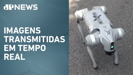 Carnaval 2025: Cachorro robô da GCM vigia megablocos em São Paulo