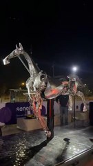 EXCLUSIF. Début de la tournée en France de Zeus, le cheval des Jeux olympiques de Paris