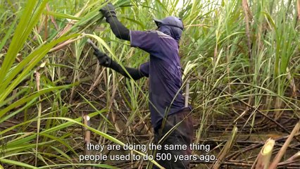 Enslaved 3of6 Follow the Money