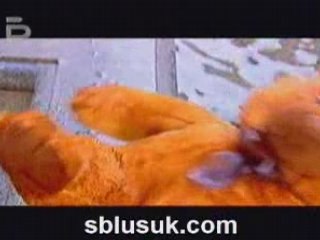 Bobi Turboto - Za jenite 6ofiori