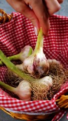 No more waste! Creative ways to make food last longer!