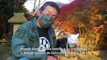 Conheça Koyuki, a gatinha sacerdotisa