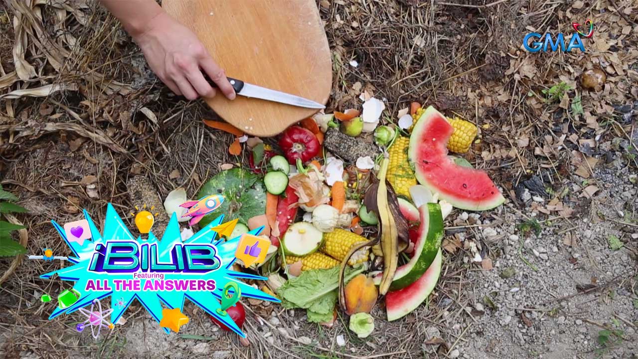 iBilib: What is Composting?