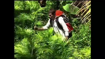 Caminhos do Coração 1ª Temp. Cap. 182