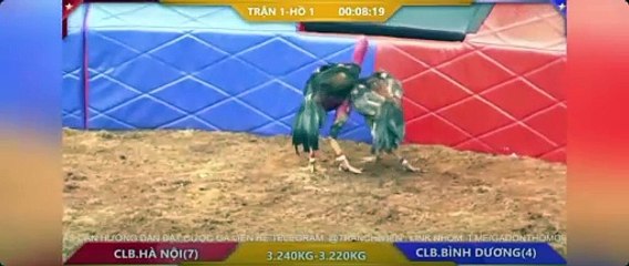 CLB Bình Dương  - CLB Hà Nội (Hồ 1)