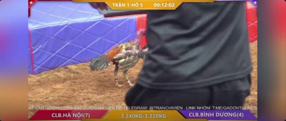 CLB Bình Dương  - CLB Hà Nội (Hồ 5)