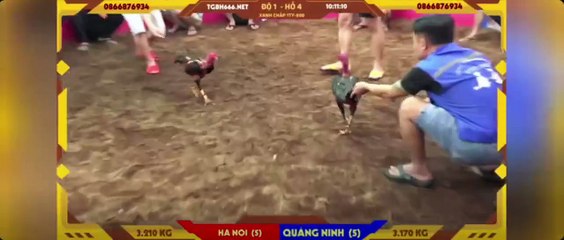 Siêu cúp 1 tỷ - 800 Fc Hà Nội - FC Quảng Ninh (Hồ 4)