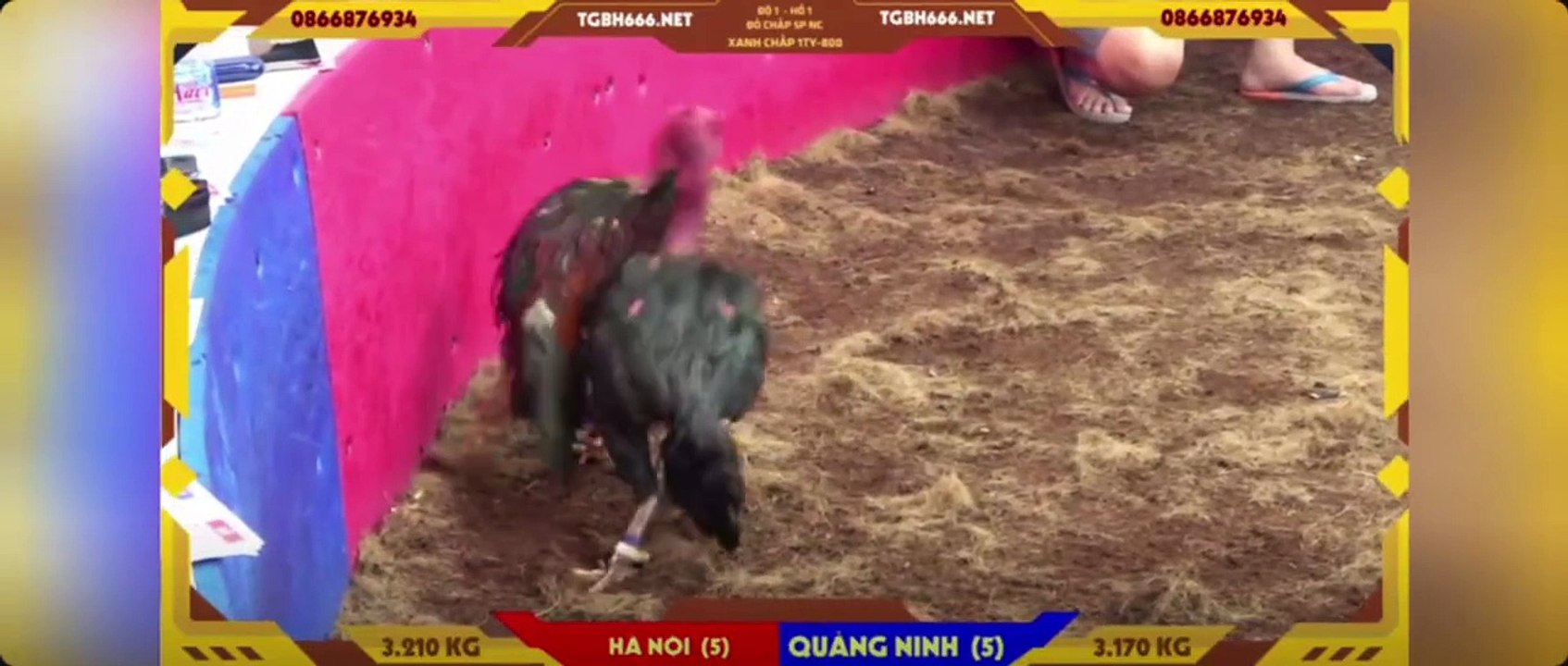 Siêu cúp 1 tỷ - 800 Fc Hà Nội - FC Quảng Ninh (Hồ 1)