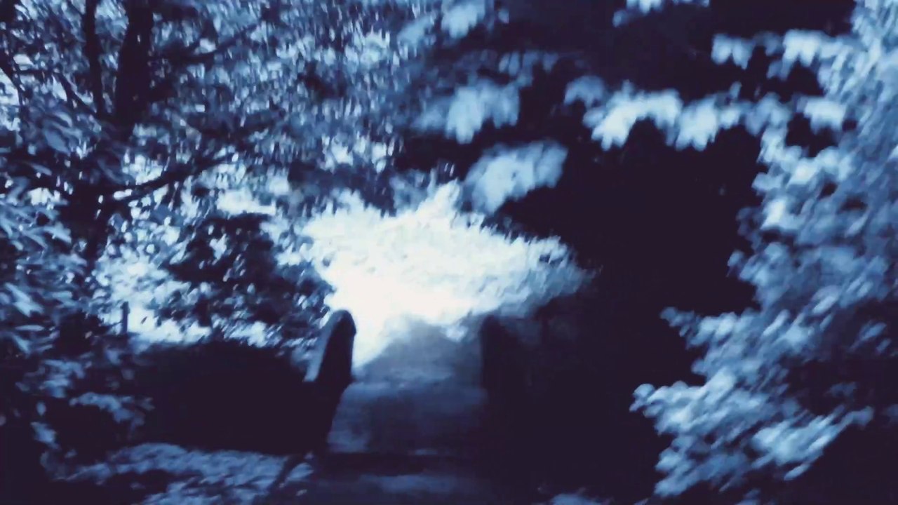 Early Snow in Velp, 22 November, 2024