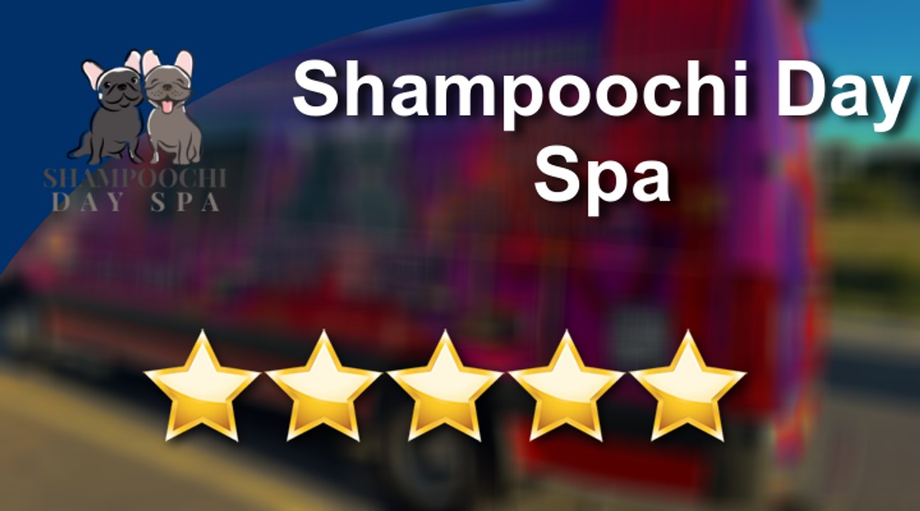 Shampoochi Day Spa Mobile Grooming 5 star Review.