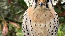 Cutest Animal Moments to Share with Your Favorite People!
